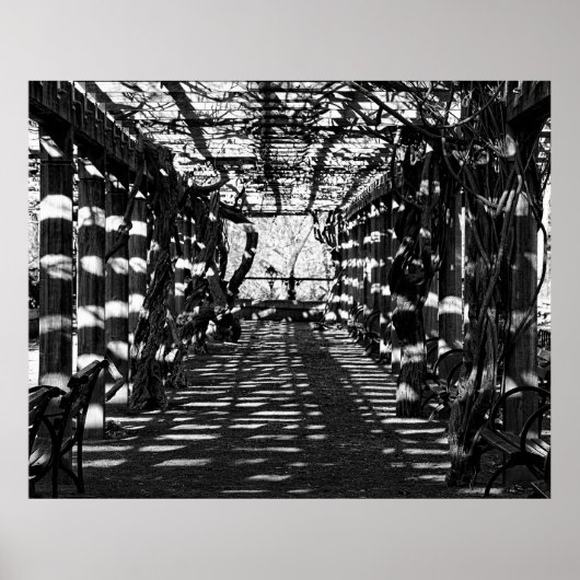 NYCセントラルパークの美しい景色 ポスター (正面)