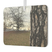 NYCニューヨークシティセントラルパークツリーサンライズフォト カーエアーフレッシュナー (左)