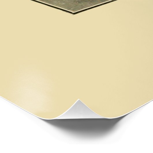 NZシェル – Argonauta nodosaとSpirula Peroni ポスター (コーナー)