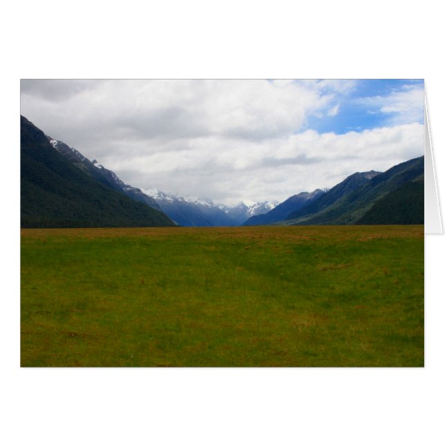 nzフィールド (正面横)