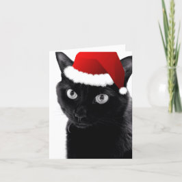 Oのクリスマスツリー猫カード シーズンカード