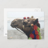 Oの人! マスカット ポストカード (正面/裏面)