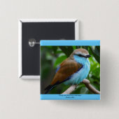 Oは主に新しい歌ボタンを歌います 缶バッジ (正面&裏面)