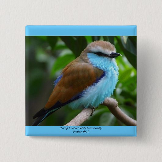 Oは主に新しい歌ボタンを歌います 缶バッジ (正面)