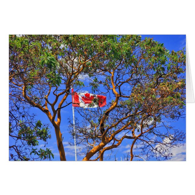 Oカナダ-カード (正面横)