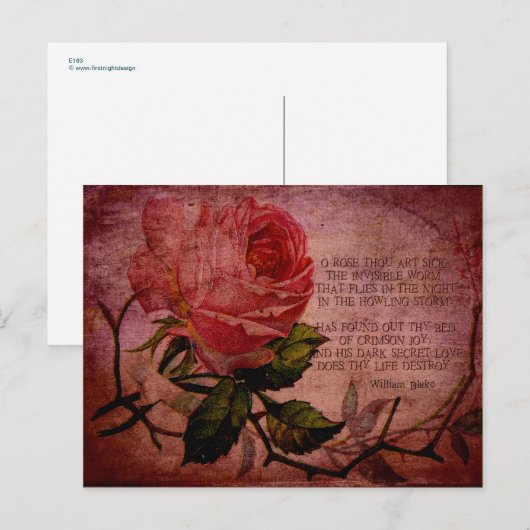 Oバラ病 ポストカード (正面/裏面)