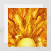 Oライジングサン シーズンカード (正面/裏面)