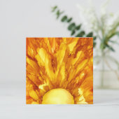 Oライジングサン シーズンカード (スタンド正面)