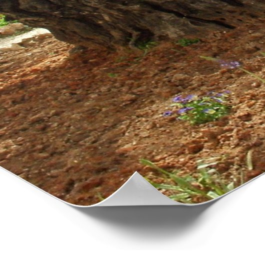 O jardim do Getsêmani em Jerusalem, a Cidade Santa ポスター (角)