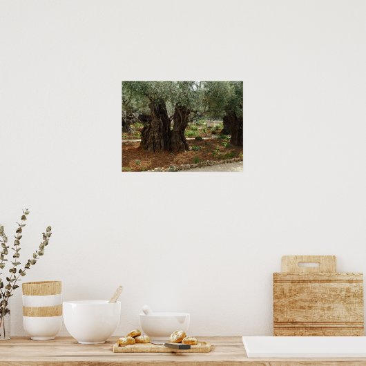 O jardim do Getsêmani em Jerusalem, a Cidade Santa ポスター (キッチン)