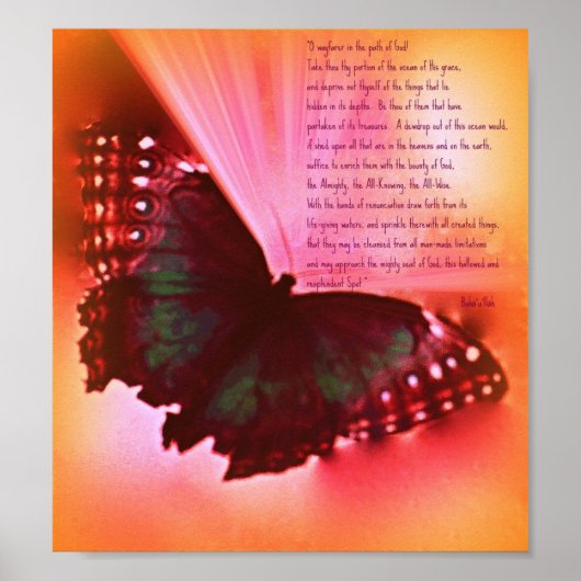 O Wayfarer ポスター (正面)