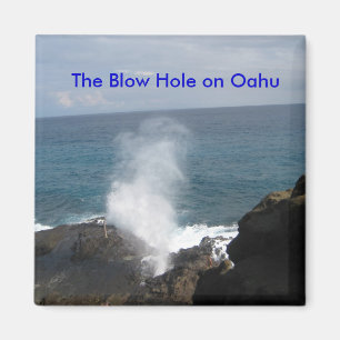 Oahu吹磁石の穴 マグネット