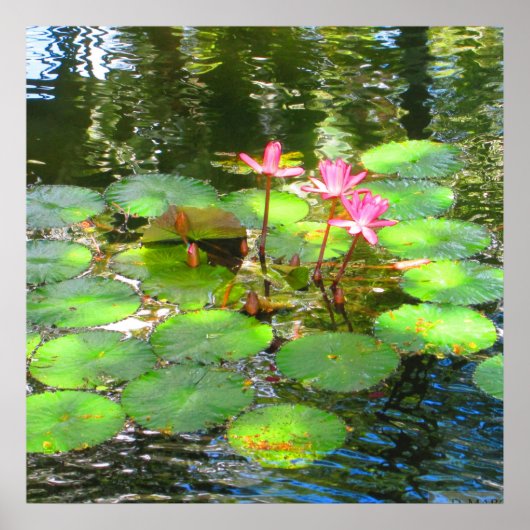 OAHU，ハワイ# 8ポスター ポスター (正面)