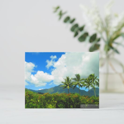 OAHU,HAWAII#6はがき ポストカード (スタンド正面)