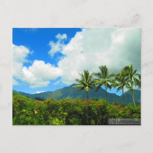 OAHU,HAWAII#6はがき ポストカード (正面)