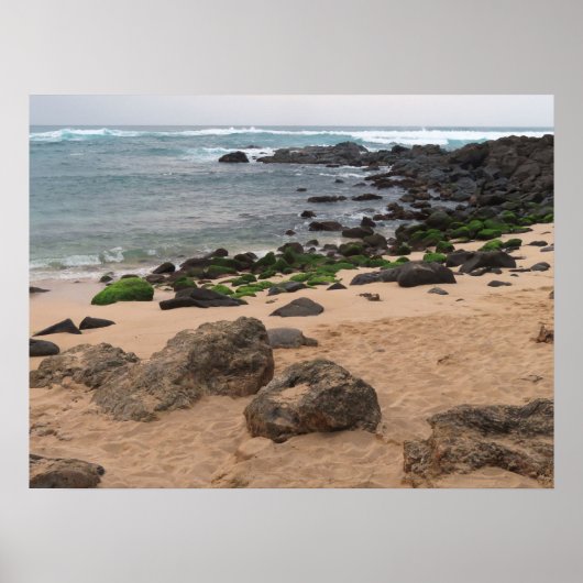 Oahu's North Shore and Sea Turtle ポスター (正面)