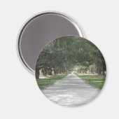 Oak Alley at Boone Hall, Charleston SC Magnet マグネット (正面/裏面)