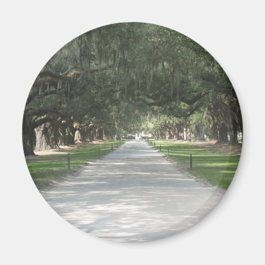 Oak Alley at Boone Hall, Charleston SC Magnet マグネット (正面)