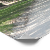 Oak Alley at Boone Hall, Charleston SC Poster ポスター (角)