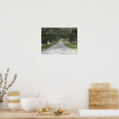 Oak Alley at Boone Hall, Charleston SC Poster ポスター (キッチン)