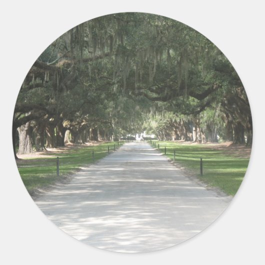 Oak Alley at Boone Hall, Charleston SC Stickers ラウンドシール (正面)