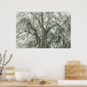 Oak Cathedral | Live Oak Tree | Poster ポスター (キッチン)