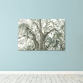 Oak Cathedral | Live Oak Tree | Stretched Canvas キャンバスプリント (インサイチュ (ウッドフロア))