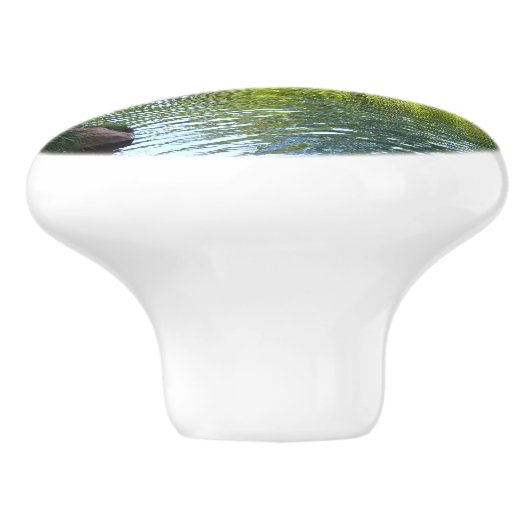 Oak Creek I inセドナアリゾナ自然写真 セラミックノブ (側面)