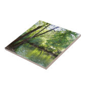 Oak Creek I inセドナアリゾナ自然写真 タイル (側面)