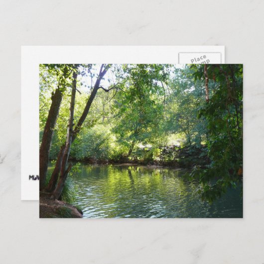 Oak Creek I inセドナアリゾナ自然写真 ポストカード (正面/裏面)