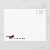 Oak Creek I inセドナアリゾナ自然写真 ポストカード (裏面)