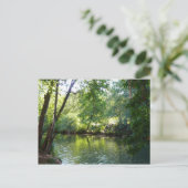 Oak Creek I inセドナアリゾナ自然写真 ポストカード (スタンド正面)