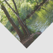 Oak Creek I inセドナアリゾナ自然写真 薄葉紙 (詳細)