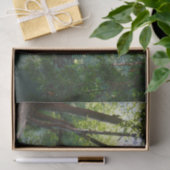 Oak Creek I inセドナアリゾナ自然写真 薄葉紙 (ギフト)