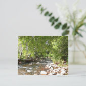 Oak Creek II – アリゾナ州セドナ自然写真 (スタンド正面)