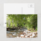 Oak Creek II – アリゾナ州セドナ自然写真 ポストカード (正面/裏面)