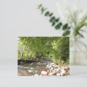 Oak Creek II – アリゾナ州セドナ自然写真 ポストカード (スタンド正面)