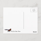 Oak Creek II – アリゾナ州セドナ自然写真 ポストカード (裏面)