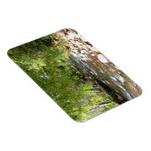 Oak Creek II – アリゾナ州セドナ自然写真 マグネット (右側)