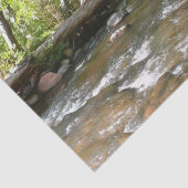 Oak Creek II – アリゾナ州セドナ自然写真 薄葉紙 (詳細)