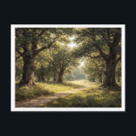 Oak forest. Postcard ポストカード<br><div class="desc">Oak forest on a sunny summer day.</div>