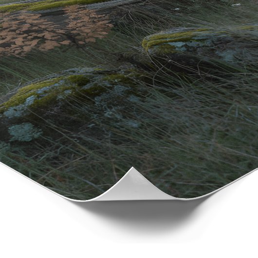 Oak Gateway ポスター (角)