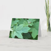 Oakleaf Hydrangea Blank Note Card サンキューカード (正面)
