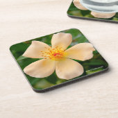 OakleyフィッシャーRose夫人 コースター (左側)