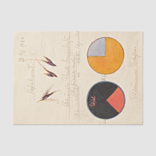 Oats, 1920 by Hilma af Klint 薄葉紙 (正面)