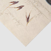 Oats, 1920 by Hilma af Klint 薄葉紙 (詳細)
