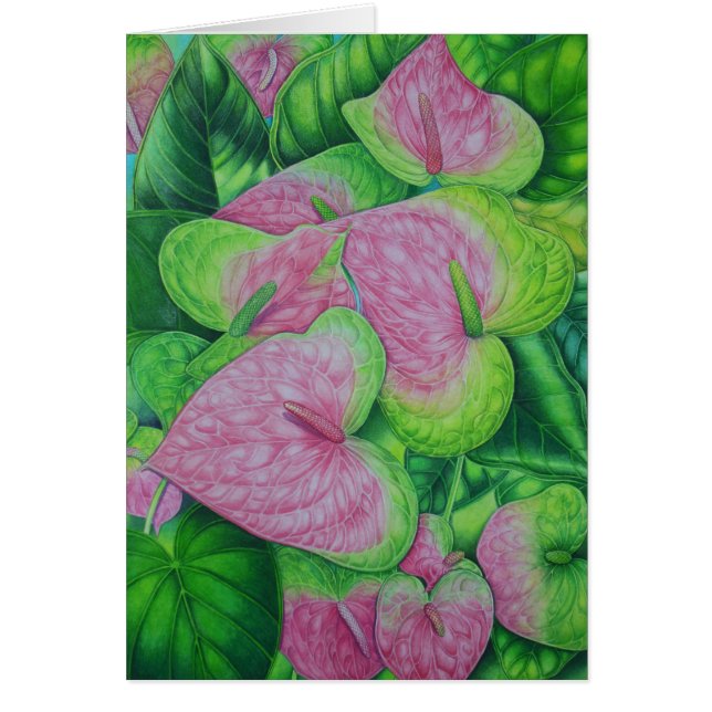 Obakeのアンスリウム属 (正面)