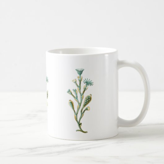 Obelia (くらげ) コーヒーマグカップ (右)