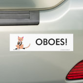 Oboeを遊んでいる猫 バンパーステッカー (車上)