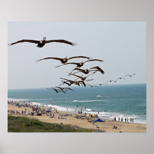 Obxのビーチに飛んでいるペリカンの鳥の集団 ポスター Zazzle Co Jp